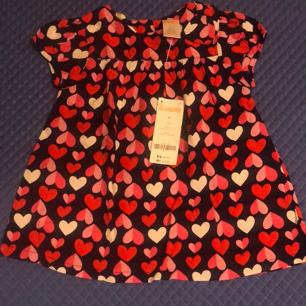 🆕 Gymboree Girls Top or Dress